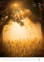 Nástěnný kalendář - Nature Emotions 2027 (kalendář s přírodou na zeď) (8)