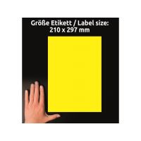 Etikety AVERY 210 x 297 mm odolné vlivům počasí - L6111-20 5 (4)