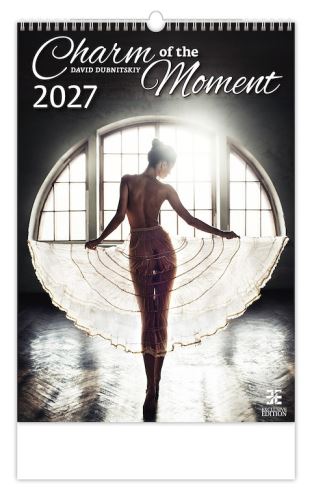 Nástěnný kalendář - Charm of the Moment 2027 (designový kalendář na zeď)