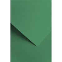 Designový papír A4 Sawanna, 220 g, zelený, 20 ks