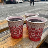 Kelímek papírový Zimní období 280 ml, průměr 80 mm - 50 ks (2)
