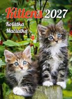 Nástěnný kalendář - Koťátka 2027 (kalendář s kočkami na zeď) (13)