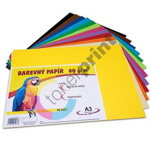 Náčrtkový papír barevný A3, 12 barev x 5 listů 1