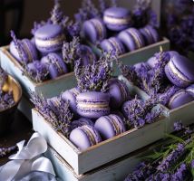 Nástěnný kalendář - Provence 2027 (vázanka, kalendář s levandulí (2)