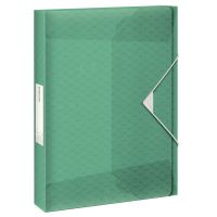 Box na spisy s gumičkou Esselte Colour&#39;Ice, zelená, 25 mm, PP, A4