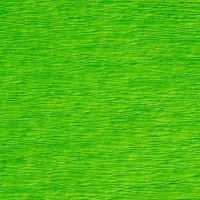 Krepový papír 50x200cm světle zelený