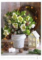Nástěnný kalendář - Magic Flowers 2027 (kalendář s květinami na zeď) (1)