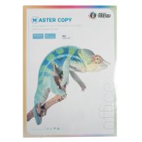 Barevný papír A4 80g Master Copy sytá duha, 5 barev, 500 listů (1)