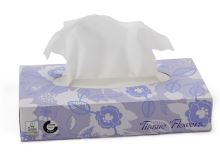 Kosmetické papírové ubrousky CELTEX Facial Tissue - 2vrstvy, 08900